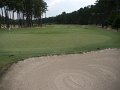 Pinehurst-_1010435