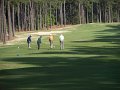 Pinehurst2013-_1020077